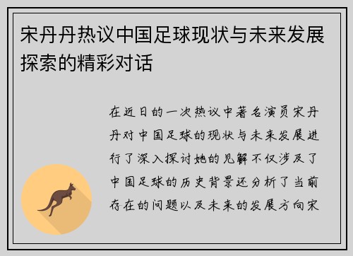 宋丹丹热议中国足球现状与未来发展探索的精彩对话